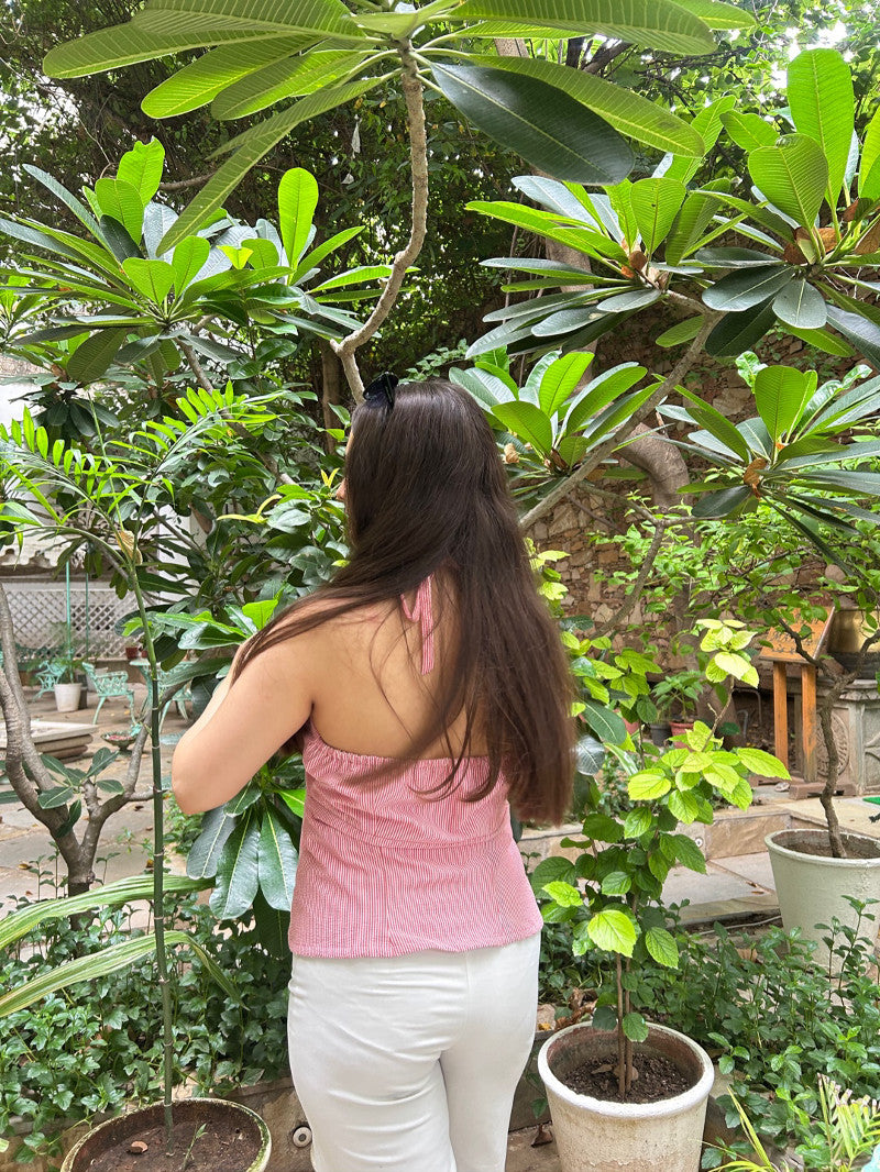 Ellara Top