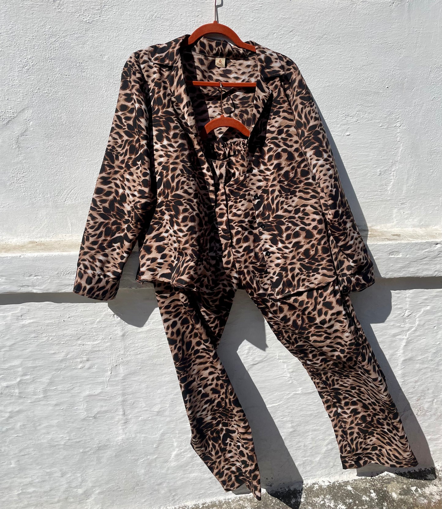 Animal Print Co-ord Set